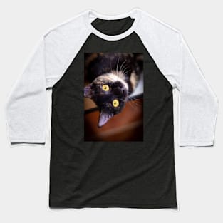 funny cat Baseball T-Shirt